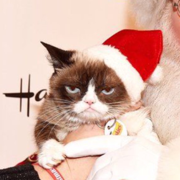 ✨✨Welcome ✨✨ - Picture 2 of 2